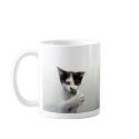 Kiko lolcat mug "Gotta beleev i iz reel"