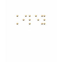 Kiley in Braille t-shirts