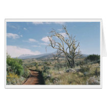 Kilimanjaro Moorlands Card