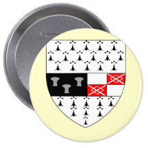 Kilkenny County Crest, Ireland Pins