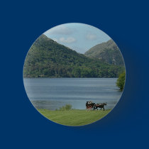 Killarney Lakes and Jarvey buttons