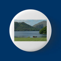 Killarney Lakes and Jarvey buttons