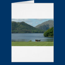 Killarney Lakes and Jarvey cards