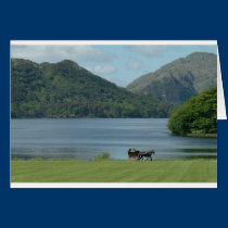 Killarney Lakes and Jarvey cards