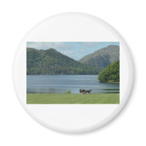 Killarney Lakes and Jarvey Refrigerator Magnets