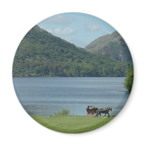 Killarney Lakes and Jarvey Refrigerator Magnets