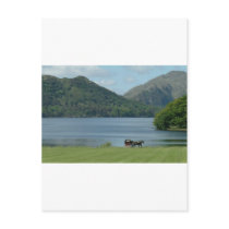 Killarney Lakes and Jarvey Postcard
