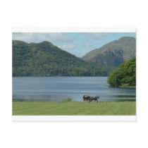 Killarney Lakes and Jarvey Postcards
