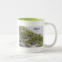 Killdeer Bird, Mug mugs