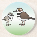 Killdeer & Chick Sandstone Drink Coaster