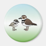 Killdeer & Chick Round Magnet