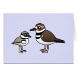 Killdeer & chick greeting cards