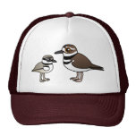 Killdeer & Chick Trucker Hat