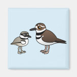 Killdeer & Chick Square Magnet