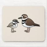 Killdeer & Chick Mousepad