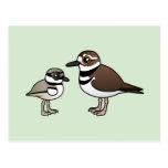 Killdeer & Chick Postcard