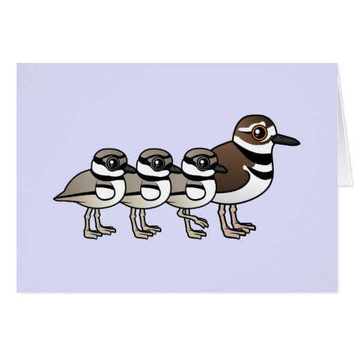 Killdeer & three chicks card