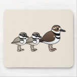Killdeer & two chicks mousepad