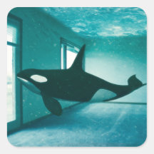 Killer Apartment Sticker