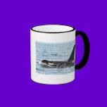 Killer Orca Male Whale San Juan Island mugs
