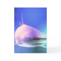 Killer Shark Greeting Card