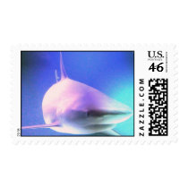 Killer Shark Postage Stamp