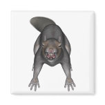Killer Squirrel Magnet
