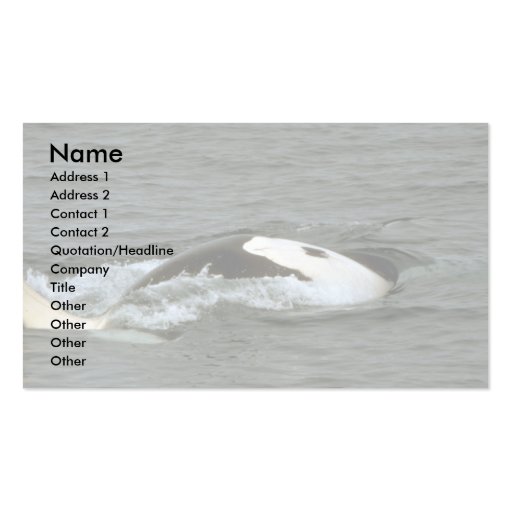 Killer whale business cards (front side)
