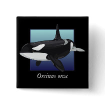 Killer Whale Button, Square