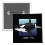 Killer Whale Button, Square