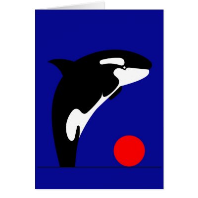 Killer Whale Cards by lonvig