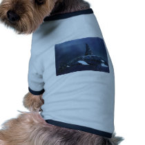 Killer Whale pet clothing