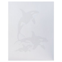 Killer Whale Family letterhead_vertical.