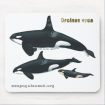 Killer Whale Family Mousepad mousepads