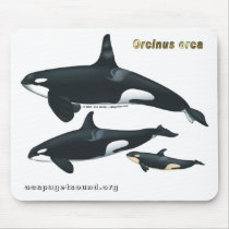 Killer Whale Family Mousepad by acspugetsound Killer Whale Family Mousepad