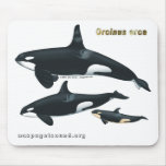 Killer Whale Family Mousepad
