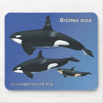 Killer Whale Family Mousepad - blue texture bkg by acspugetsound Killer Whale Family Mousepad - blue texture bkg