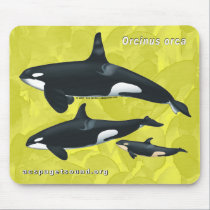 Killer Whale Family Mousepad Mustard Background mousepads