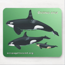 Killer Whale Family Mousepad on Green Background mousepads
