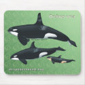 Killer Whale Family Mousepad on Green Texture bkg by acspugetsound Killer Whale Family Mousepad on Green Texture bkg
