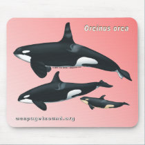 Killer Whale Family Mousepad on Pink Background by acspugetsound Killer Whale Family Mousepad on Pink Background