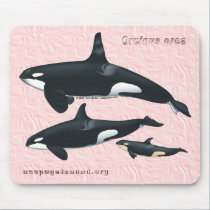 Killer Whale Family Mousepad on Pink Textured bkg mousepads