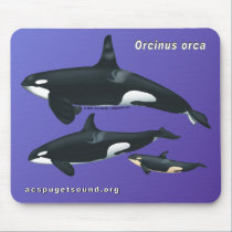 Killer Whale Family Mousepad on Purple Background mousepads