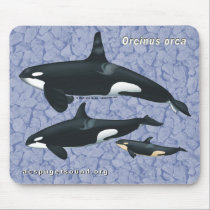 Killer Whale Family Mousepad on rock background mousepads