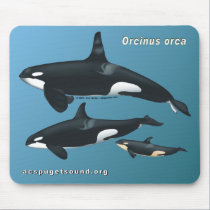 Killer Whale Family Mousepad on Teal Background by acspugetsound Killer Whale Family Mousepad on Teal Background