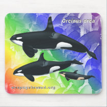 Killer Whale Family Mousepad Rainbow bkg 1 mousepads