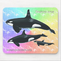 Killer Whale Family Mousepad - Rainbow bkg #2 mousepads