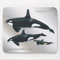 Killer Whale Family Mousepad Silver Texture bkg mousepads
