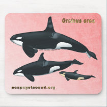 Killer Whale Family Mousepad with Pink Cedar bkg by acspugetsound Killer Whale Family Mousepad with Pink Cedar bkg