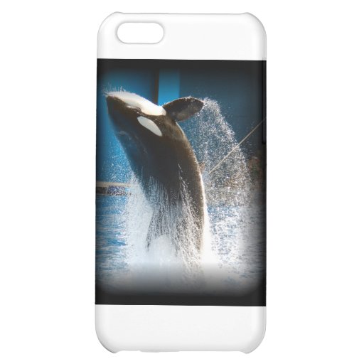 Killer Whale Jumping Iphone 5c Case